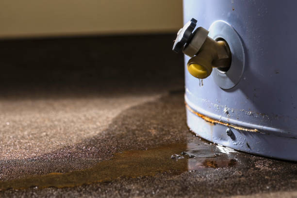 Best Water damage restoration near me  in Princeton, IL