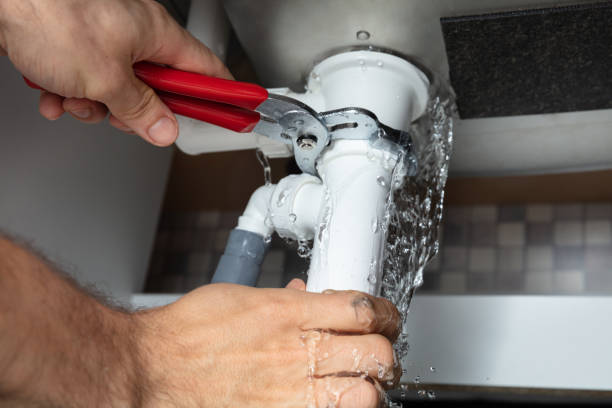Best Water damage cleanup near me  in Princeton, IL