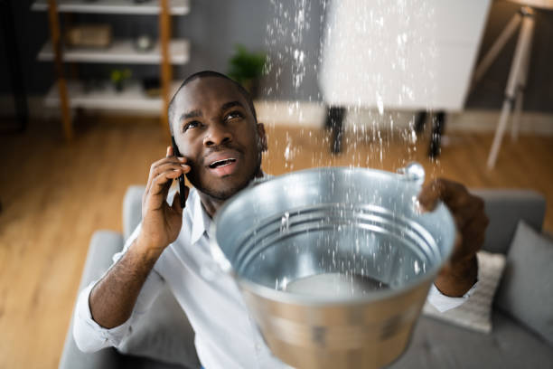 Best Emergency water damage restoration  in Princeton, IL