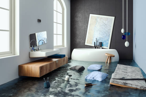 Best Flooded house restoration  in Princeton, IL