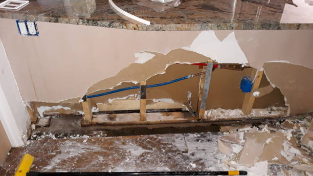 Best Water damage contractors near me  in Princeton, IL