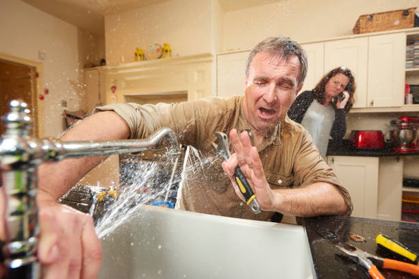Best Local water damage restoration  in Princeton, IL